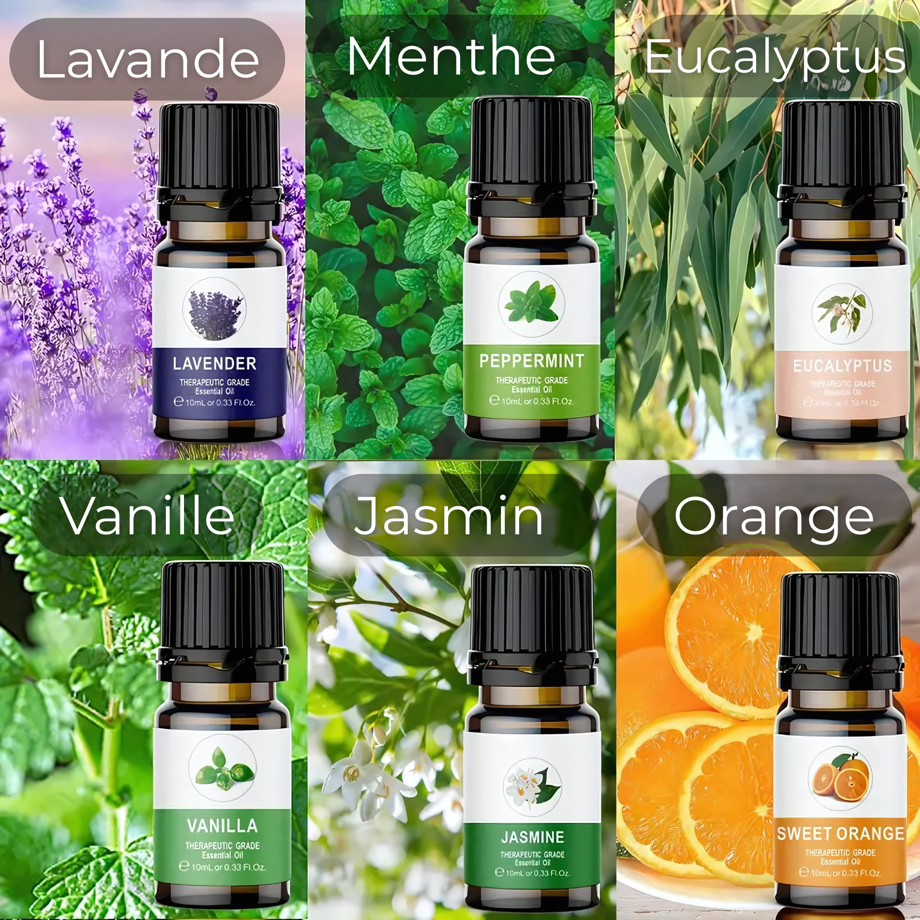 Set di 6 oli essenziali per diffusore per auto