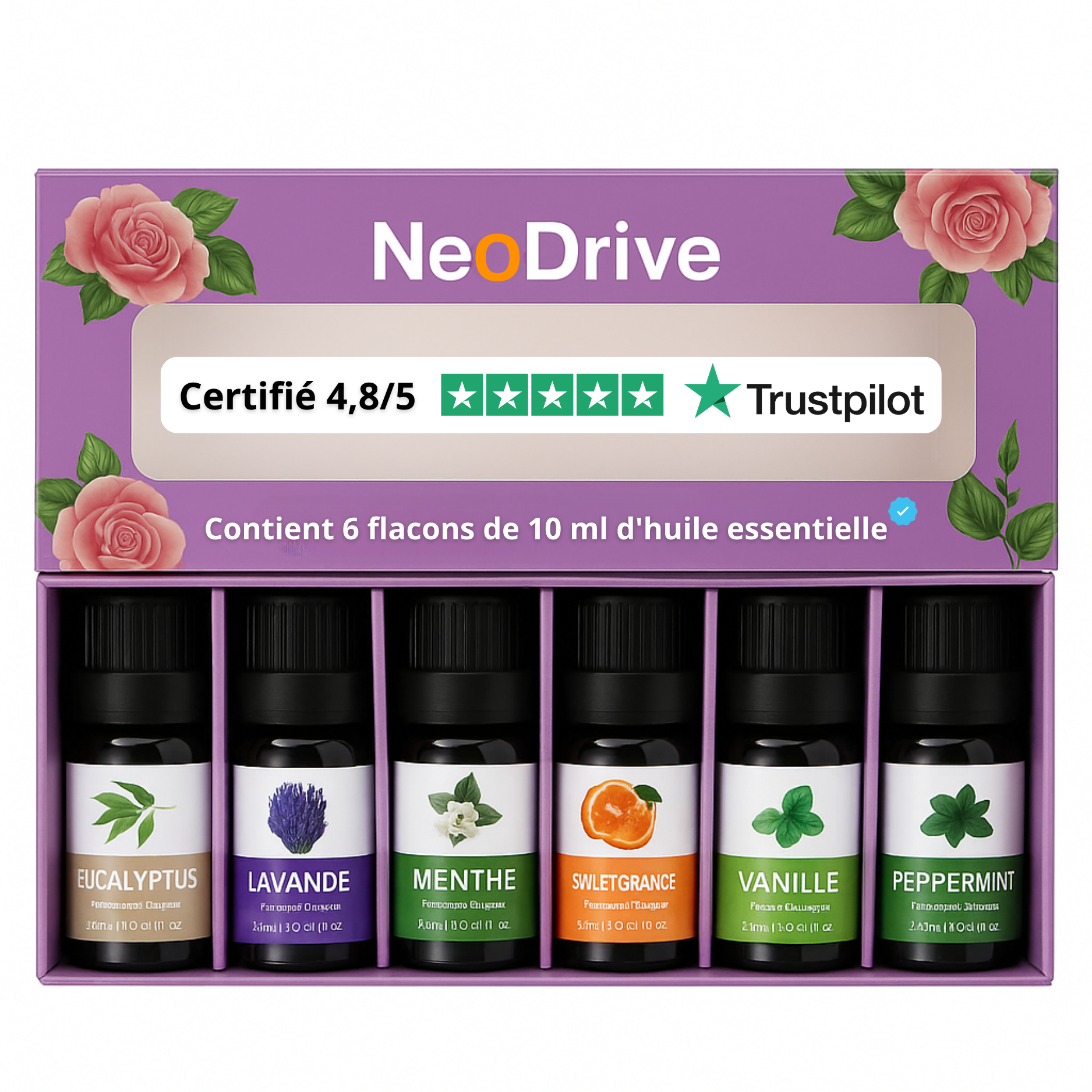 Set di 6 oli essenziali per diffusore per auto